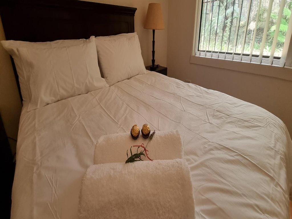 Cussonia Country Home Tierpoort エクステリア 写真